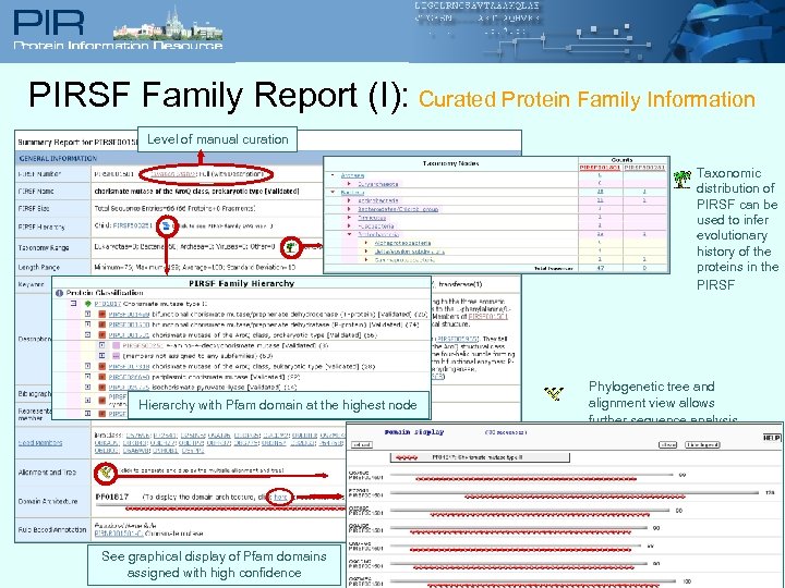 PIRSF Family Report (I): Curated Protein Family Information Level of manual curation Taxonomic distribution