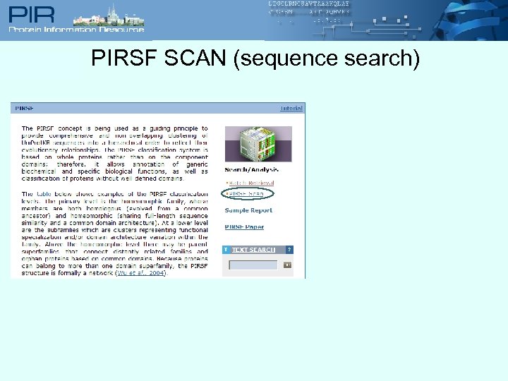 PIRSF SCAN (sequence search) 