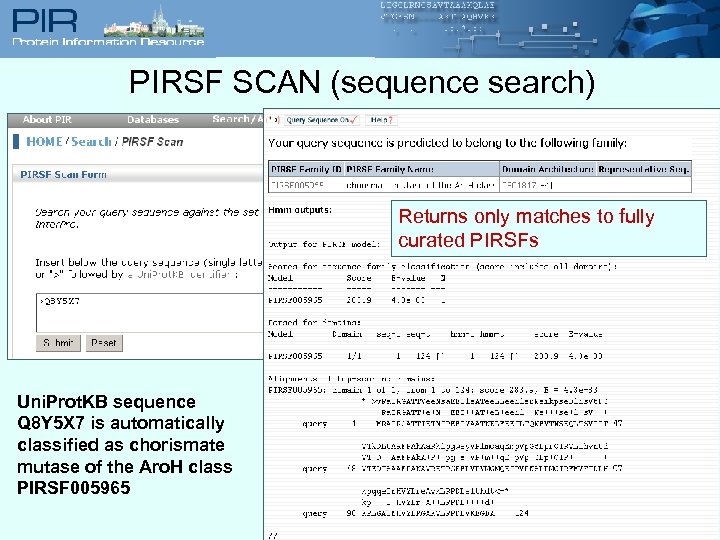 PIRSF SCAN (sequence search) Returns only matches to fully curated PIRSFs Uni. Prot. KB