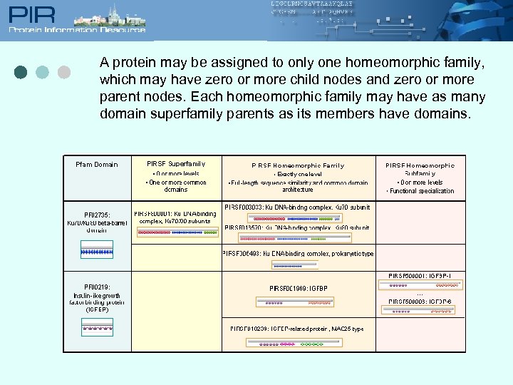 A protein may be assigned to only one homeomorphic family, which may have zero