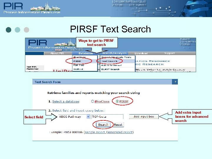 PIRSF Text Search Ways to get to PIRSF text search Select field Add extra