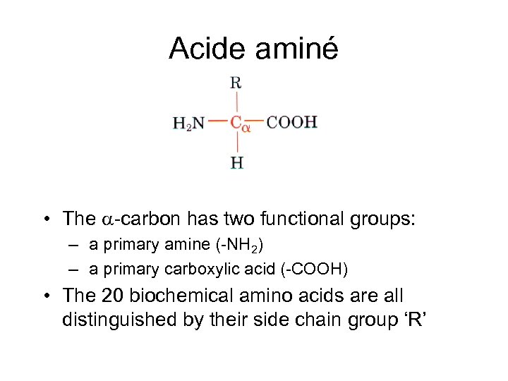 Acide aminé • The a-carbon has two functional groups: – a primary amine (-NH