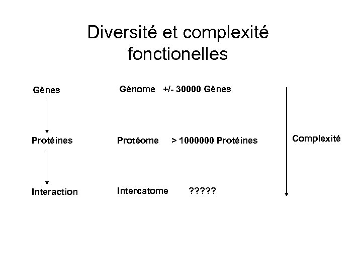 Diversité et complexité fonctionelles Gènes Génome +/- 30000 Gènes Protéines Protéome Interaction Intercatome >