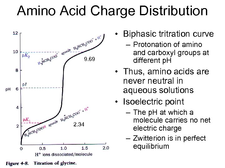 Amino Acid Charge Distribution • Biphasic tritration curve 9. 69 – Protonation of amino