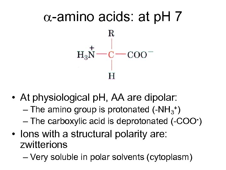 a-amino acids: at p. H 7 • At physiological p. H, AA are dipolar: