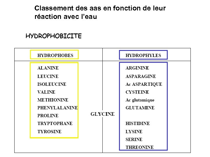 Classement des aas en fonction de leur réaction avec l’eau 