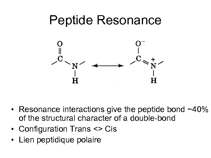 Peptide Resonance • Resonance interactions give the peptide bond ~40% of the structural character