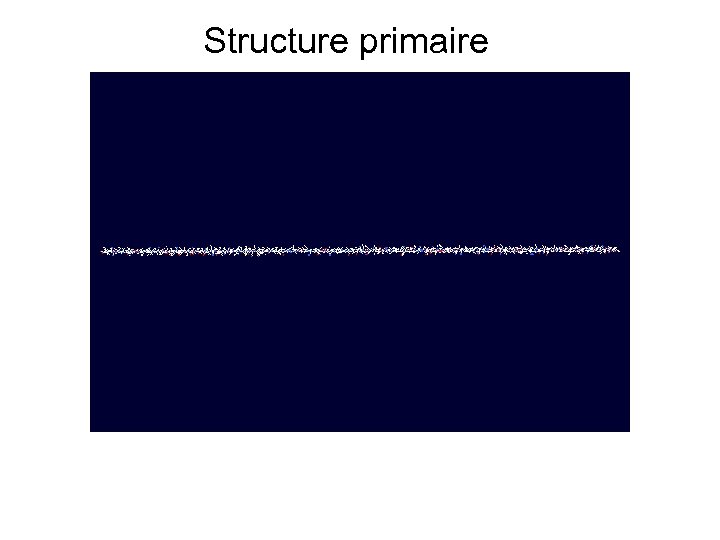 Structure primaire 