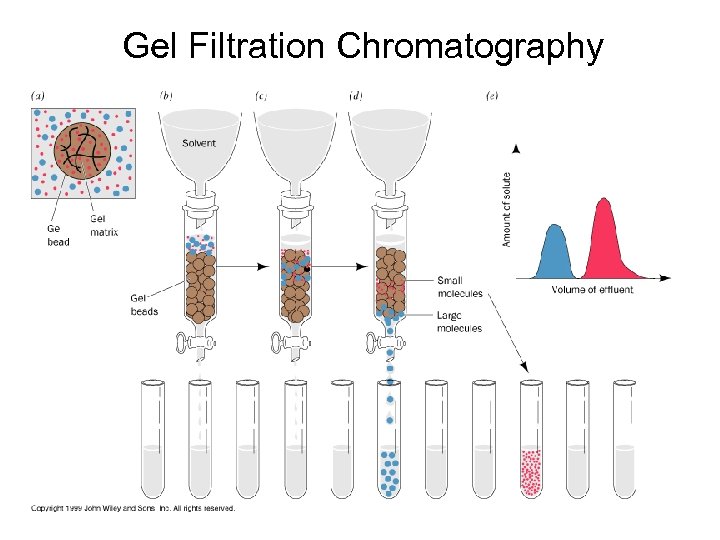 Gel Filtration Chromatography 