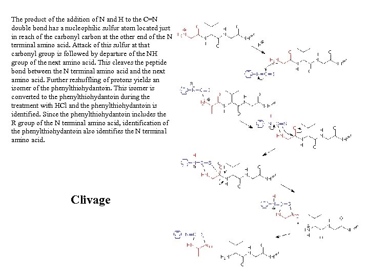 The product of the addition of N and H to the C=N double bond