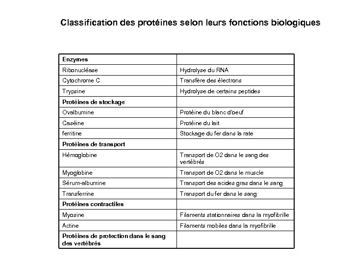 Classification des protéines selon leurs fonctions biologiques Enzymes Ribonucléase Hydrolyse du RNA Cytochrome C