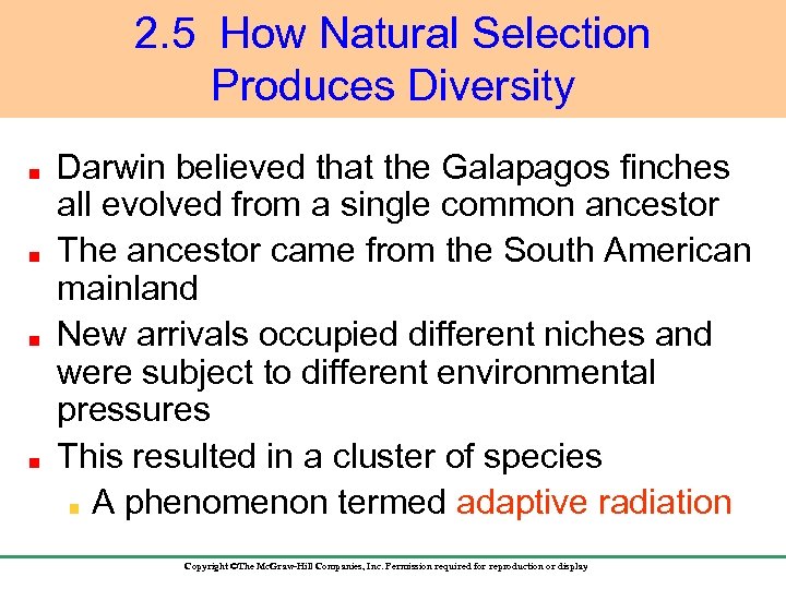 2. 5 How Natural Selection Produces Diversity Darwin believed that the Galapagos finches all