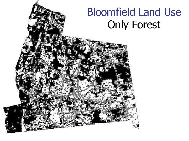 Bloomfield Land Use Only Forest 