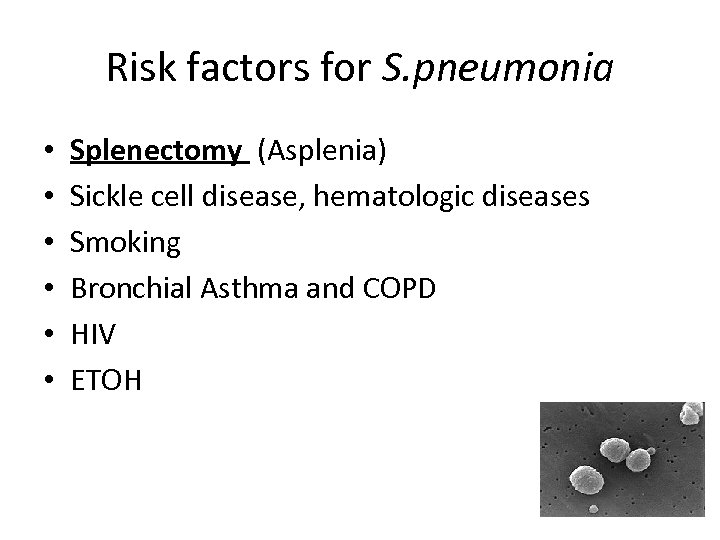 Risk factors for S. pneumonia • • • Splenectomy (Asplenia) Sickle cell disease, hematologic