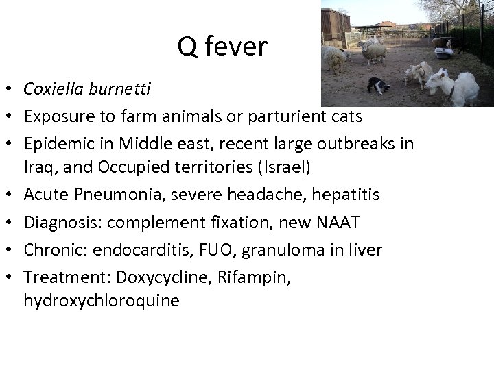 Q fever • Coxiella burnetti • Exposure to farm animals or parturient cats •