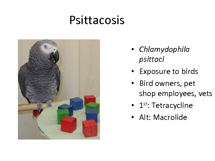 Psittacosis • Chlamydophila psittaci • Exposure to birds • Bird owners, pet shop employees,