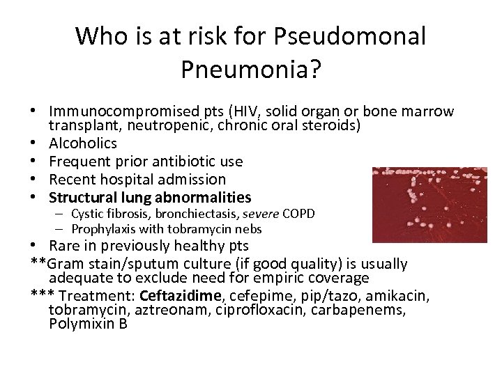 Who is at risk for Pseudomonal Pneumonia? • Immunocompromised pts (HIV, solid organ or