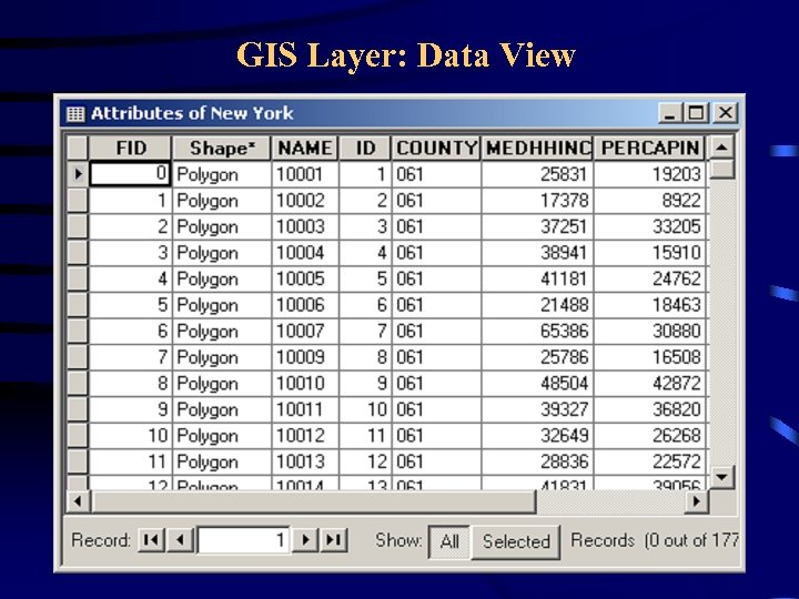 GIS Layer: Data View 