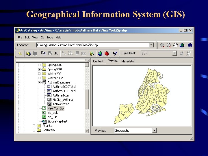 Geographical Information System (GIS) 