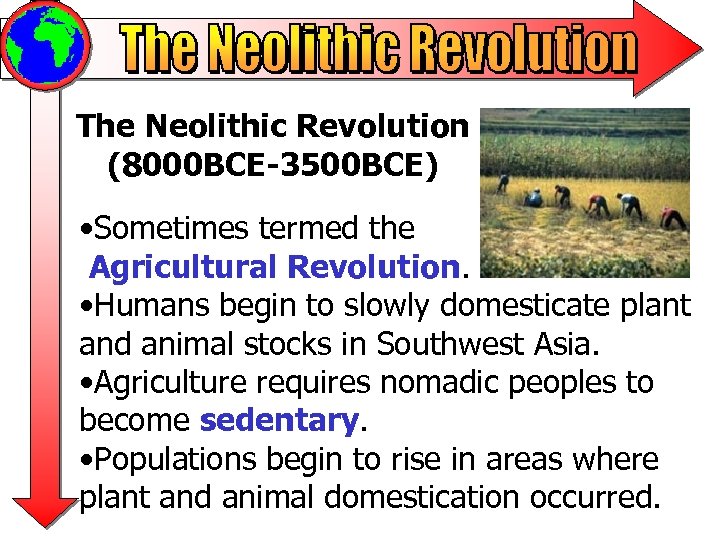 The Neolithic Revolution (8000 BCE-3500 BCE) • Sometimes termed the Agricultural Revolution. • Humans