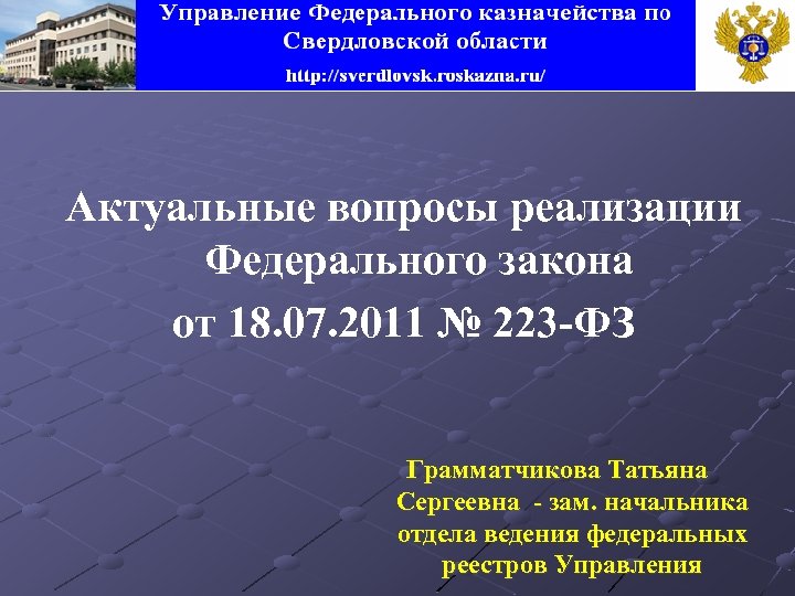 Актуальные вопросы реализации Федерального закона от 18. 07. 2011 № 223 -ФЗ Грамматчикова Татьяна