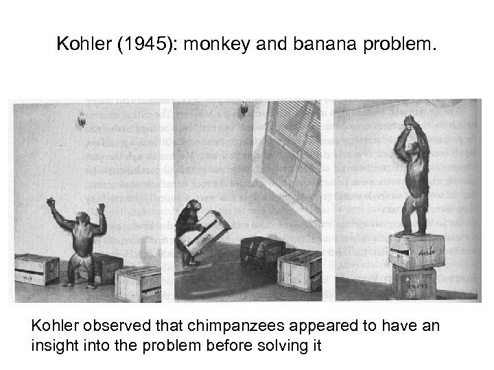 Kohler (1945): monkey and banana problem. Kohler observed that chimpanzees appeared to have an