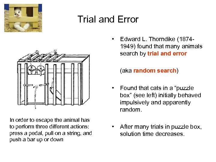 Trial and Error • Edward L. Thorndike (18741949) found that many animals search by