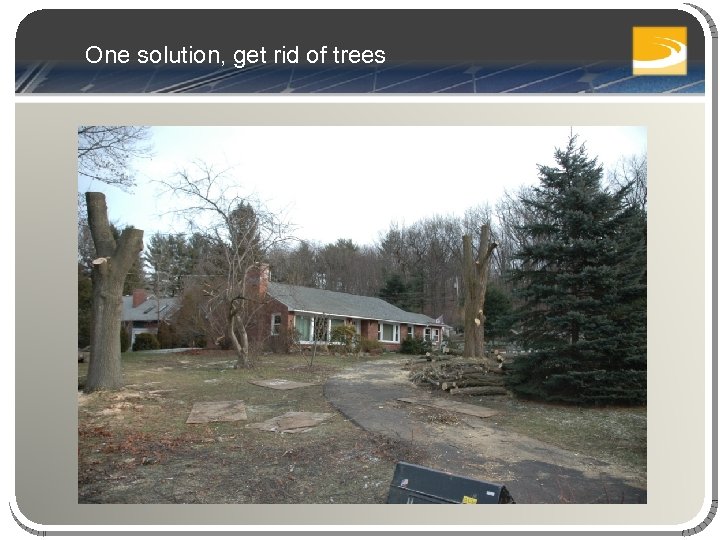 One solution, get rid of trees 