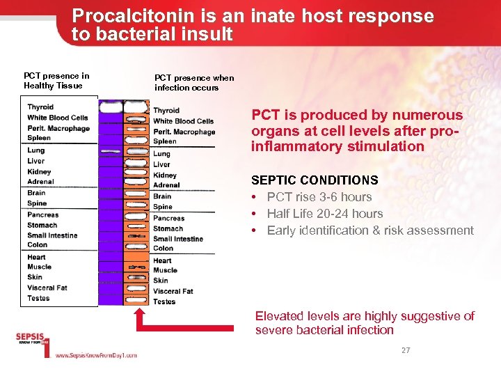 Procalcitonin is an inate host response to bacterial insult PCT presence in Healthy Tissue