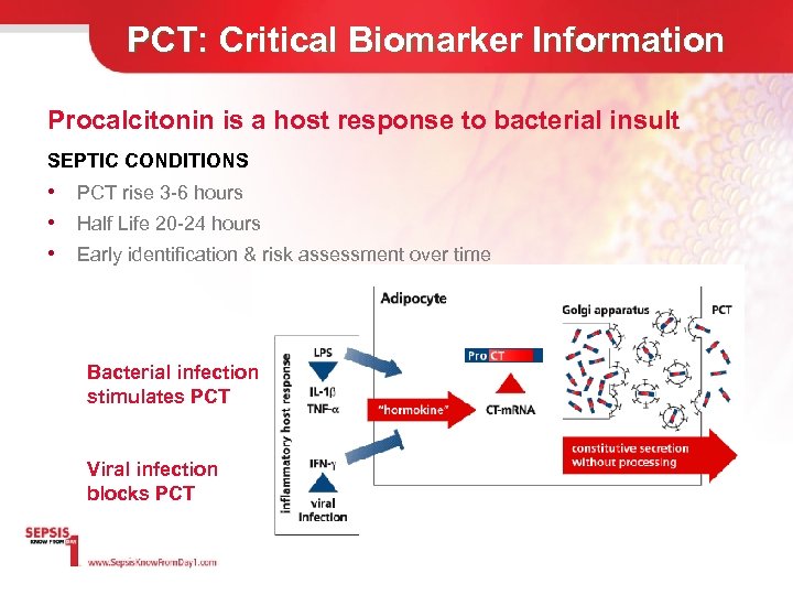 PCT: Critical Biomarker Information Procalcitonin is a host response to bacterial insult SEPTIC CONDITIONS