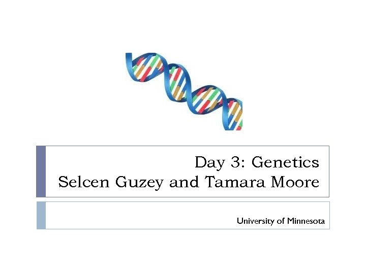 Day 3: Genetics Selcen Guzey and Tamara Moore University of Minnesota 