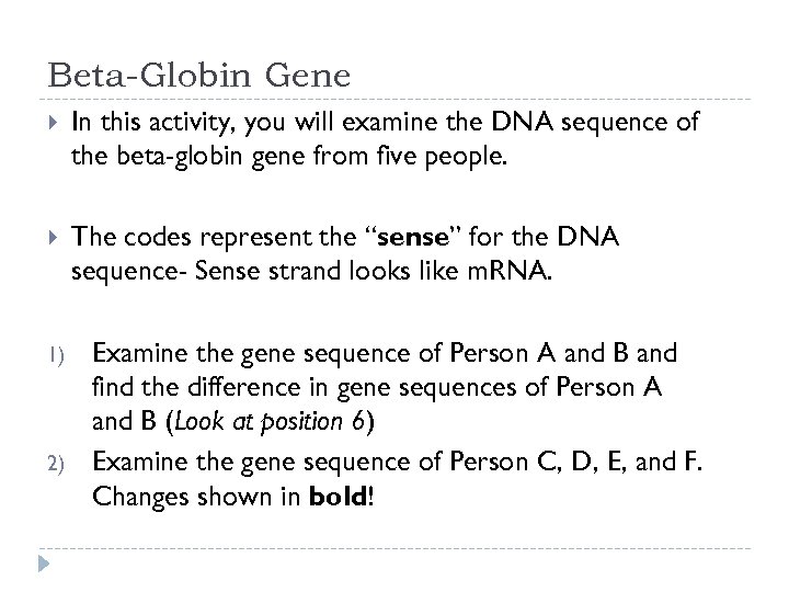 Beta-Globin Gene In this activity, you will examine the DNA sequence of the beta-globin