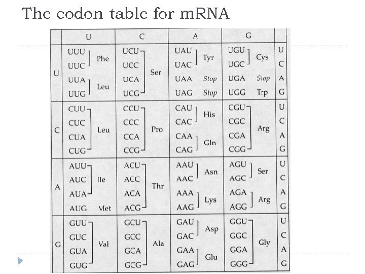 The codon table for m. RNA 