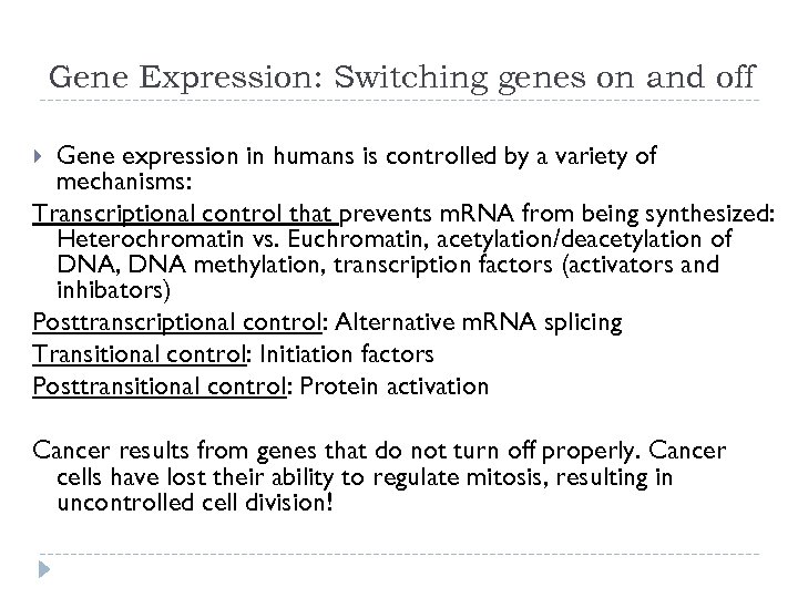 Gene Expression: Switching genes on and off Gene expression in humans is controlled by