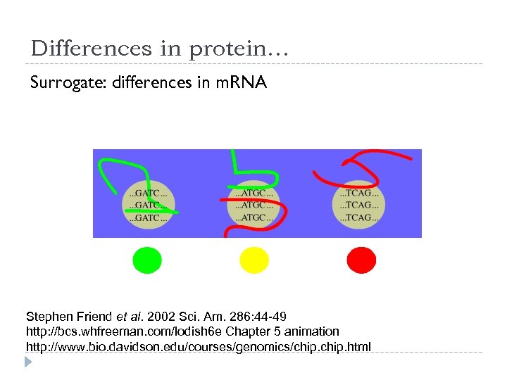 Differences in protein… Surrogate: differences in m. RNA Stephen Friend et al. 2002 Sci.