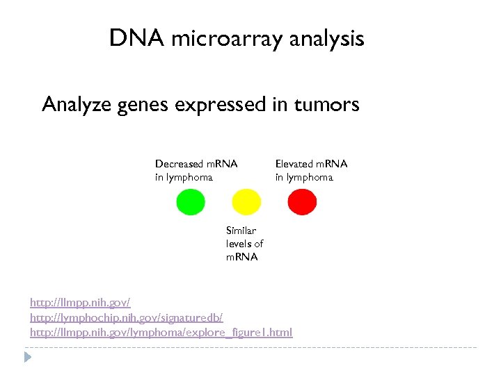 DNA microarray analysis Analyze genes expressed in tumors Decreased m. RNA in lymphoma Elevated