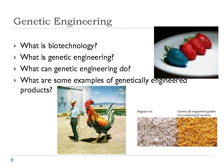 Genetic Engineering What is biotechnology? What is genetic engineering? What can genetic engineering do?