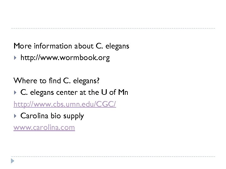 More information about C. elegans http: //www. wormbook. org Where to find C. elegans?