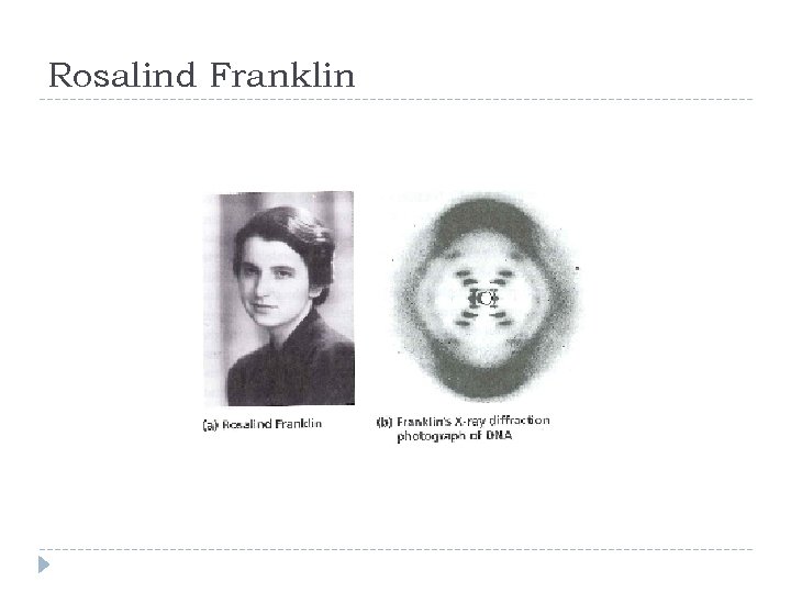 Rosalind Franklin 