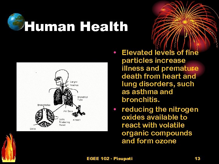 Human Health • Elevated levels of fine particles increase illness and premature death from