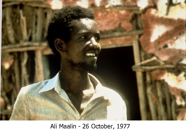 Ali Maalin - 26 October, 1977 