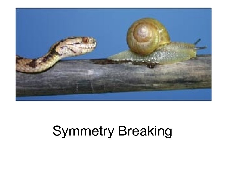 Symmetry Breaking 