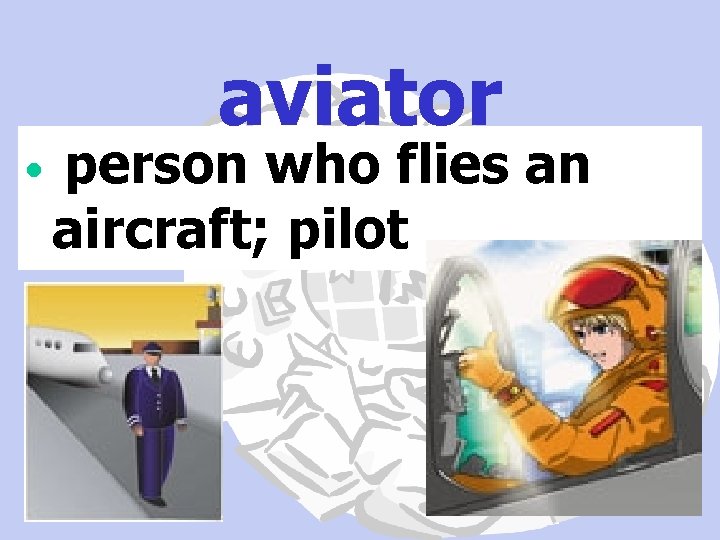 aviator • person who flies an aircraft; pilot 