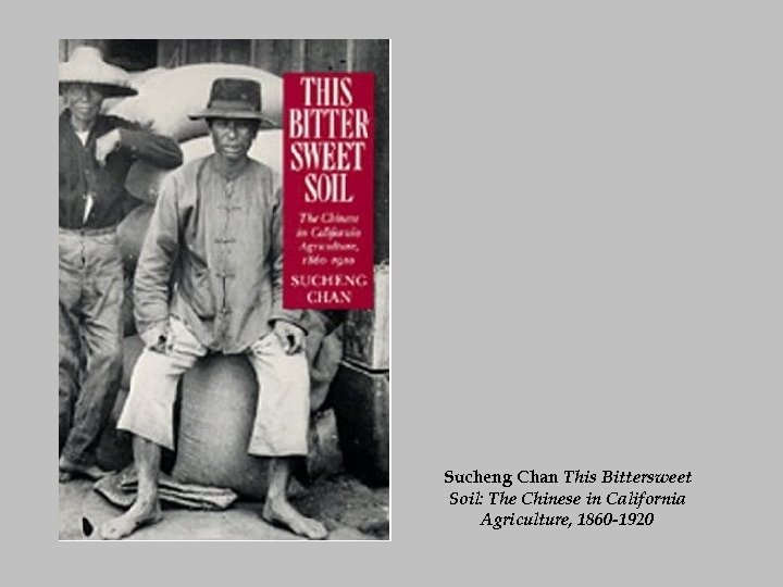 Sucheng Chan This Bittersweet Soil: The Chinese in California Agriculture, 1860 -1920 