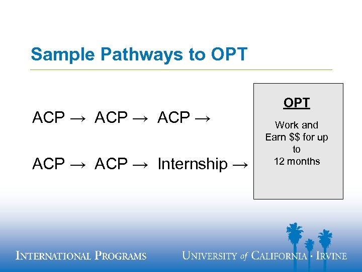 Sample Pathways to OPT ACP → ACP → Internship → OPT Work and Earn