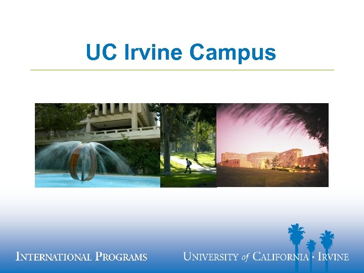 UC Irvine Campus 