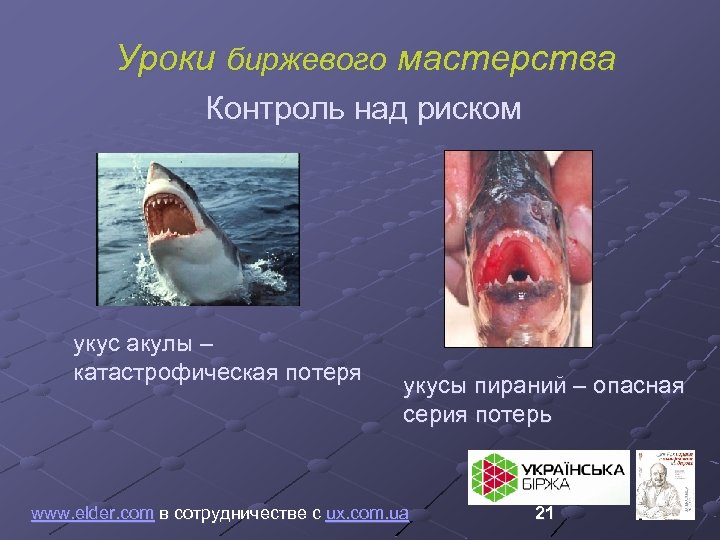 Уроки биржевого мастерства Контроль над риском укус акулы – катастрофическая потеря укусы пираний –