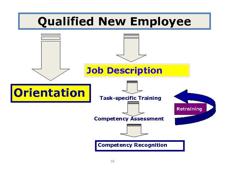 Qualified New Employee Job Description Orientation Task-specific Training Retraining Competency Assessment Competency Recognition 16