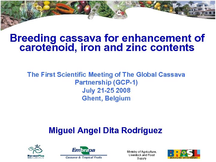Breeding cassava for enhancement of carotenoid, iron and zinc contents The First Scientific Meeting