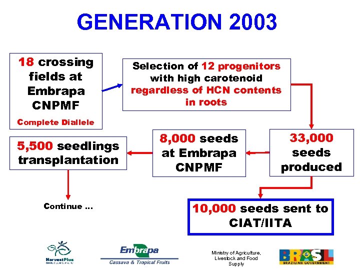 GENERATION 2003 18 crossing fields at Embrapa CNPMF Selection of 12 progenitors with high